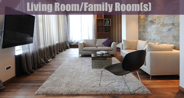 Living Room/Family Room(s)